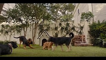 filme da disney live action de dois cachorros a dama e o vagabundo dublado
